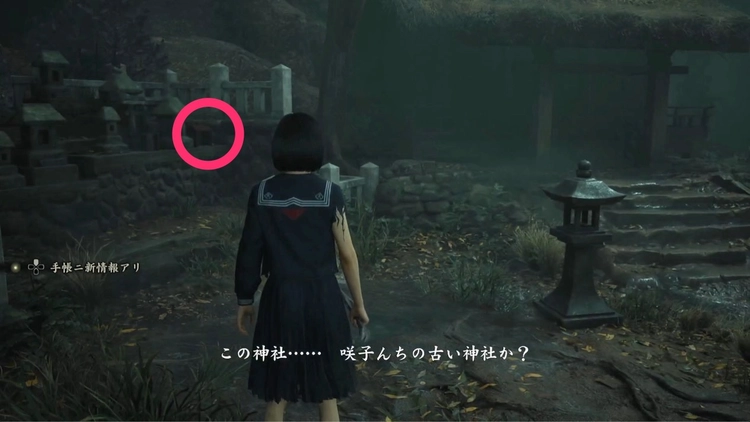 研究手記の写真その4_02