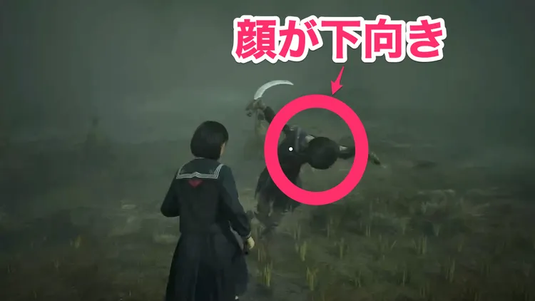 カカシ物語重視1