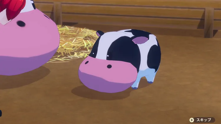 牧場物語_結婚１０