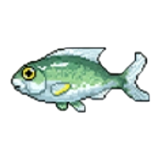 シルカー_アイコン