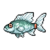 コロフィン_アイコン