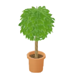 ベンジャミン_アイコン