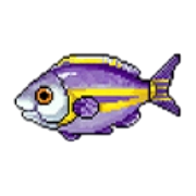 ポラリ_アイコン