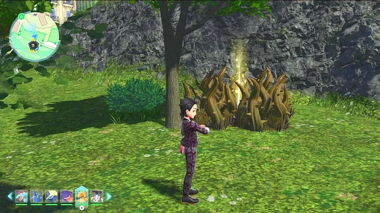 ポケモンZA_サイコキネシス_フィールド入手_11番ワイルドゾーン_周辺