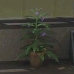 メタルギアデルタ_エゾヒレハリソウ_アイコン