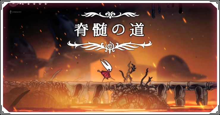 シルクソング_脊髄の道_アイキャッチ