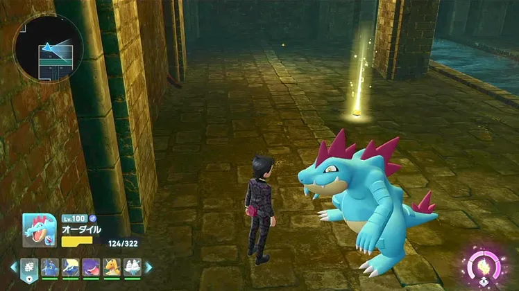 ポケモンZA_かみくだく_フィールド入手_地下水道_周辺