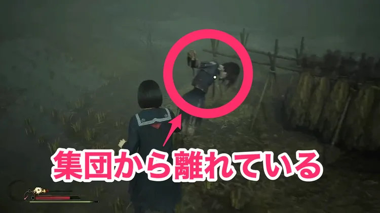 カカシ五里霧中5-2