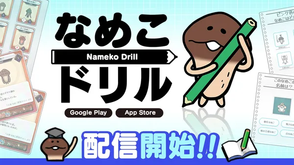 nameko drill release_result
