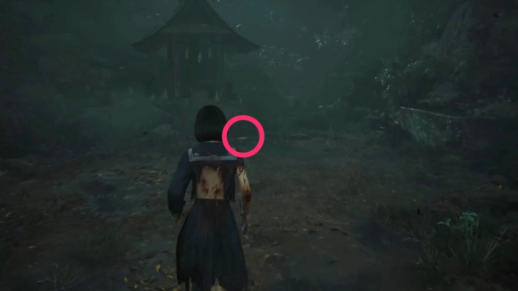 厳母から息子への手紙01_周辺