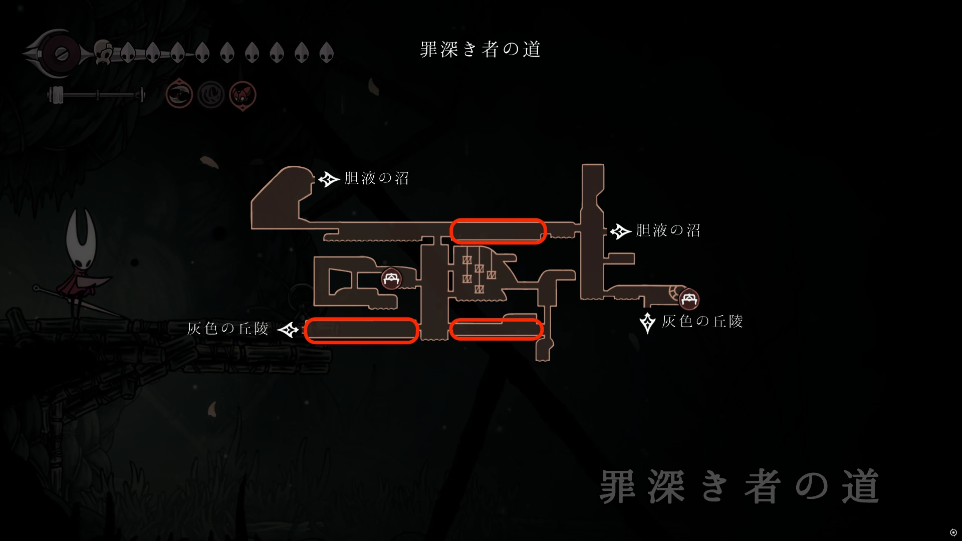 シルクソング_ツチゴキブリ_場所