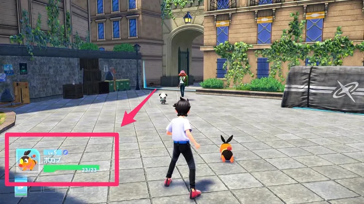 ポケモンza_御三家厳選_性別