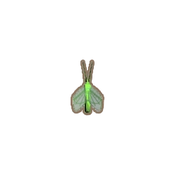 ディンカム_クサカゲロウ_アイコン