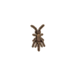 ディンカム_フタホシコオロギ_アイコン