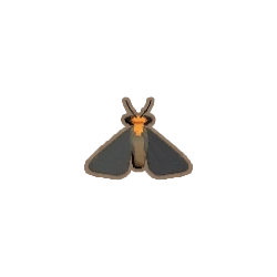 ディンカム_ホタル_アイコン