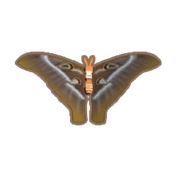 ディンカム_ヘラクレスサン_アイコン