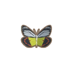 ディンカム_ベニモンシロチョウ_アイコン