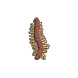 ディンカム_ムカデ_アイコン