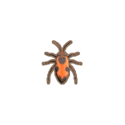 ディンカム_赤いカメムシ_アイコン