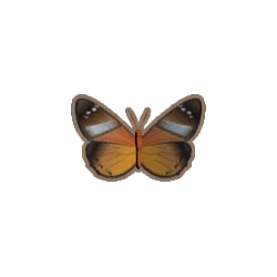 ディンカム_道化師チョウ_アイコン