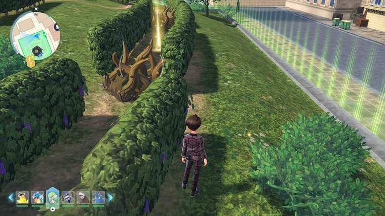 ポケモンZA_ぼうふう_フィールド入手_19番ワイルドゾーン_周辺