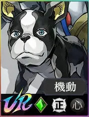 【裁断済】イギー 2025年最新】スーパーサイズ ジョジョ イギーの人気アイテム