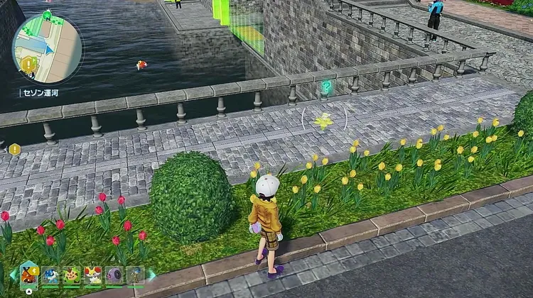 ポケモンZA_フラベベ黄周辺