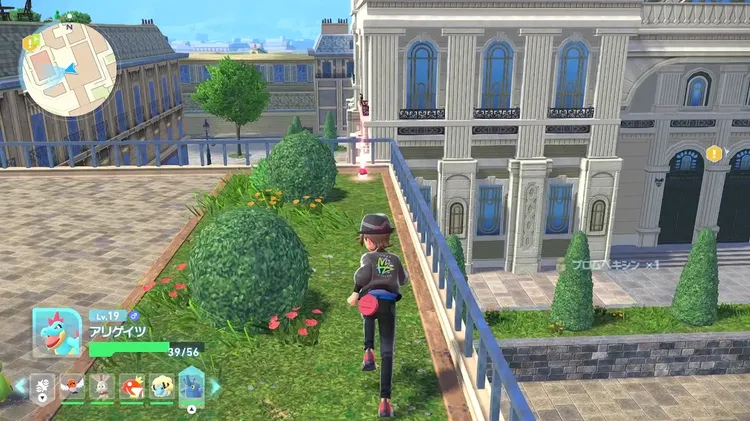 ZA_こおりのいし_場所