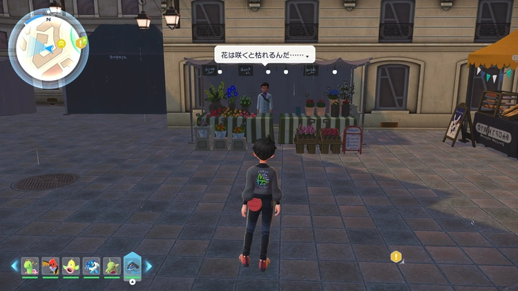 ポケモンZA_しんちょうミント_購入_ミント屋(男性/色黒)_周辺