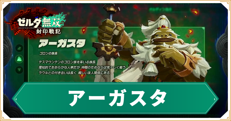 ゼルダ無双封印戦記_アーガスタ_アイキャッチ