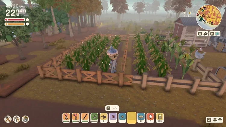 ディンカム_中盤_農業