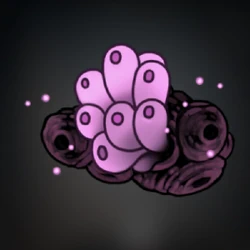 シルクソング_パチパチニア