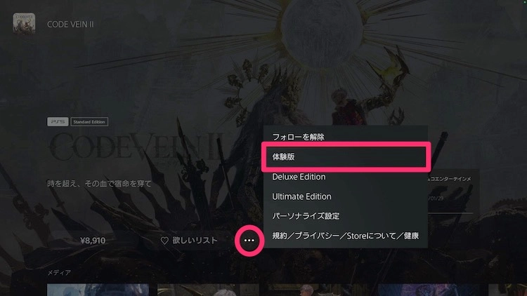 コードヴェイン2_体験版6