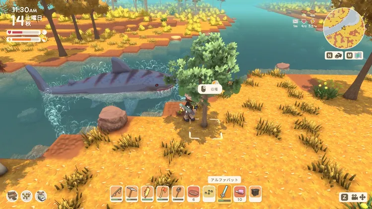 Dinkum_アルファサメ2