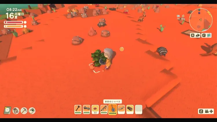 ディンカム_植え方_.木の種2