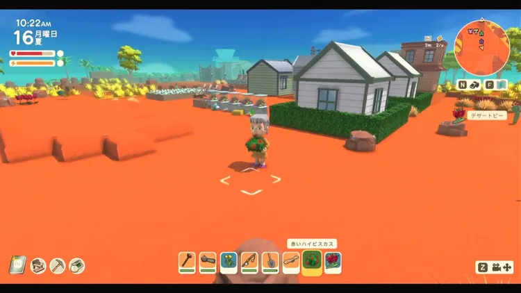 ディンカム_植え方_植物1