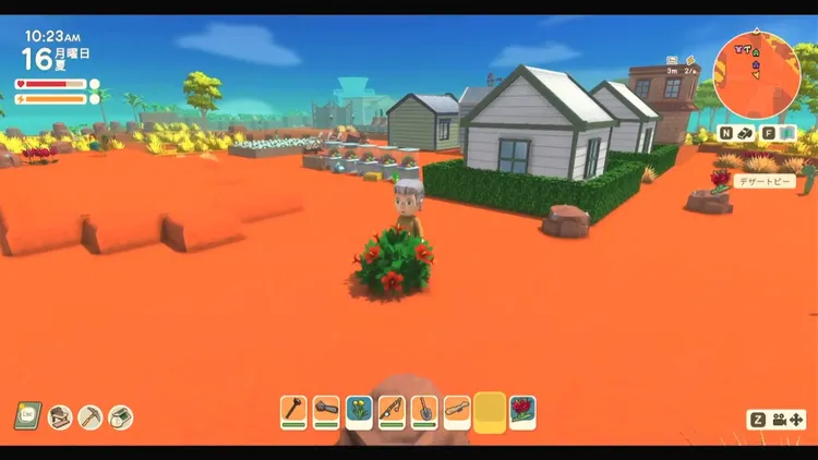 ディンカム_植え方_植物2