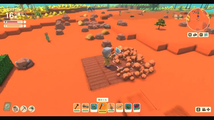 ディンカム_植え方_作物の種1