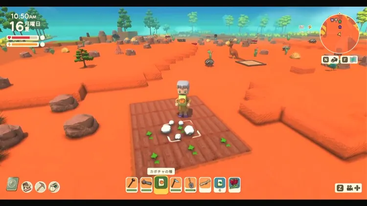 ディンカム_植え方_作物の種2