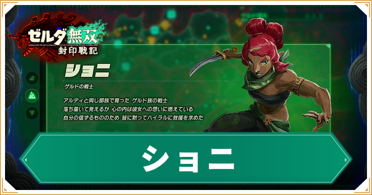 ゼルダ無双封印戦記_ショニ_アイキャッチ