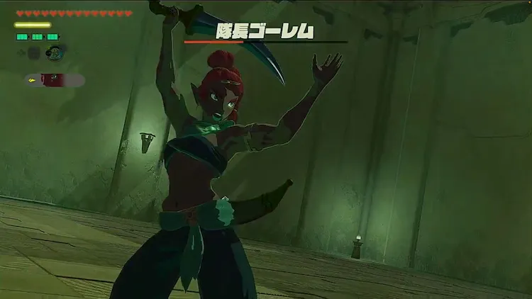 ゼルダ無双封印戦記_ショニ戦闘