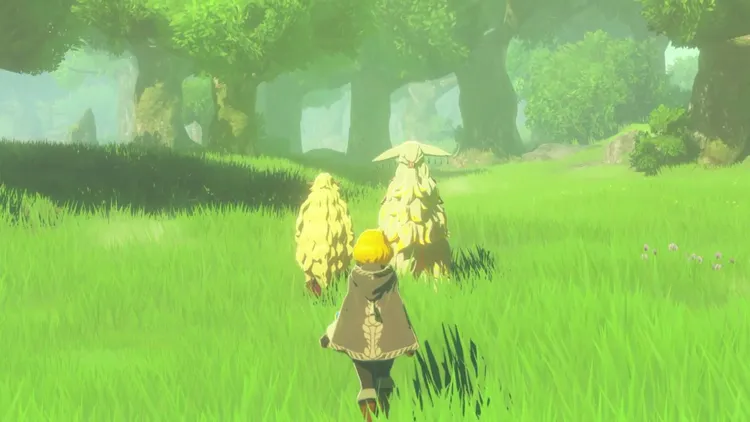 ゼルダ無双封印戦記_ゼルダ視点