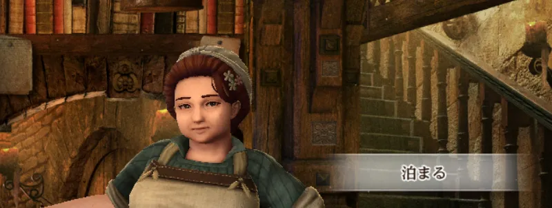 ダフネ_オススメ周回場所_宿屋