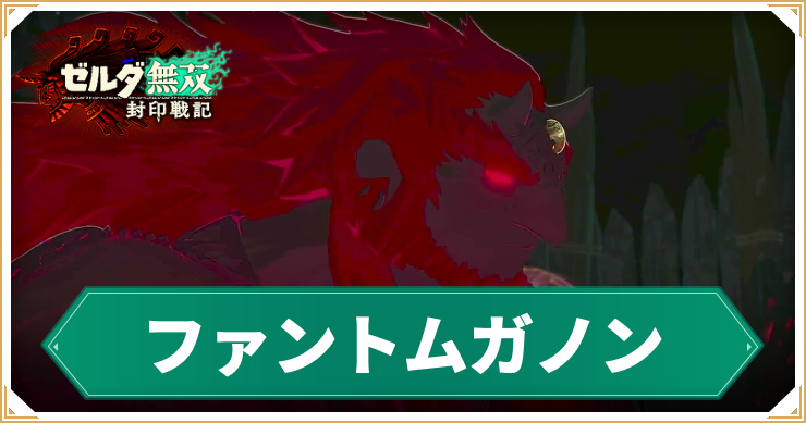 【ゼルダ無双封印戦記】ファントムガノンの倒し方