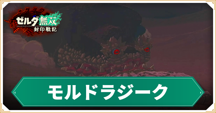 【ゼルダ無双封印戦記】モルドラジークの倒し方