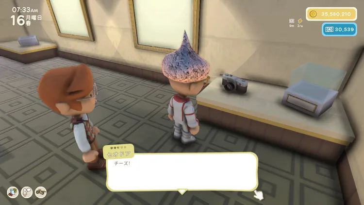 Dinkum_カメラ (4)