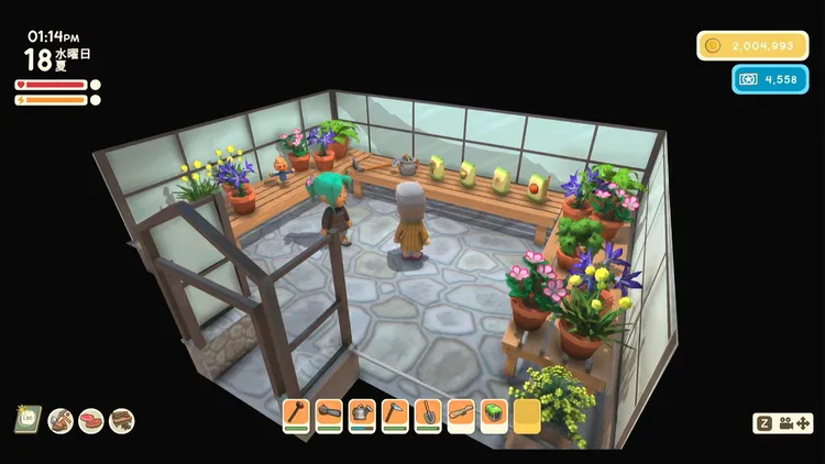 ディンカム_農業_レイン