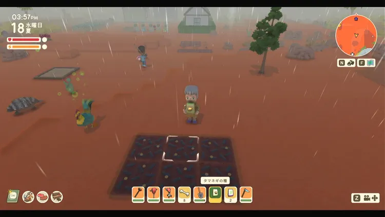 ディンカム_農業_種まき