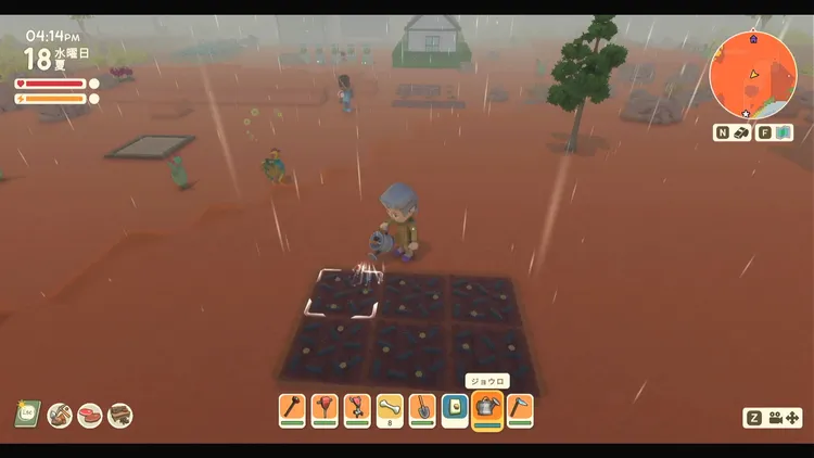 ディンカム_農業_水やり