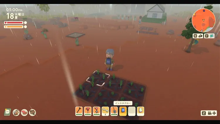 ディンカム_農業_インスタグロー